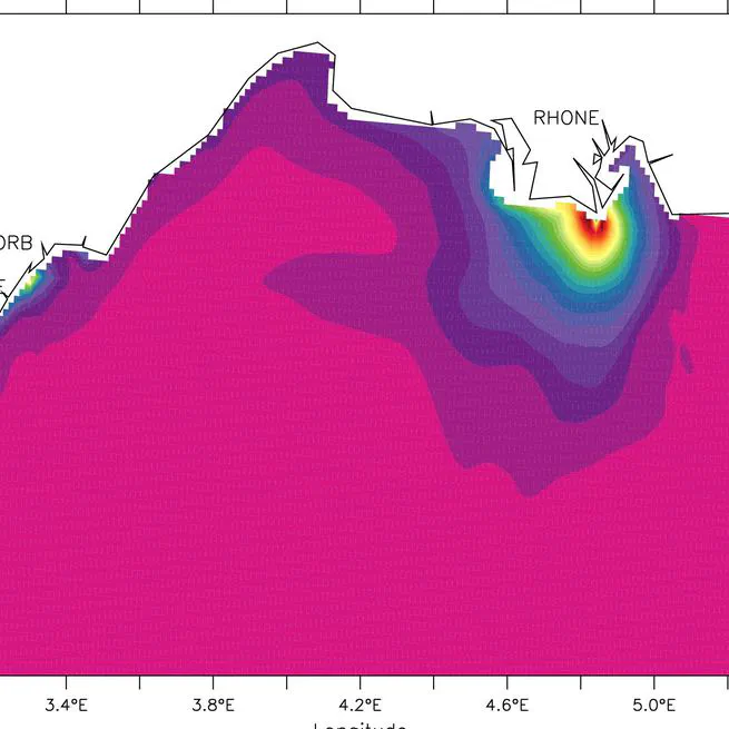 Impact of the representation of the freshwater river input in the Western Mediterranean Sea